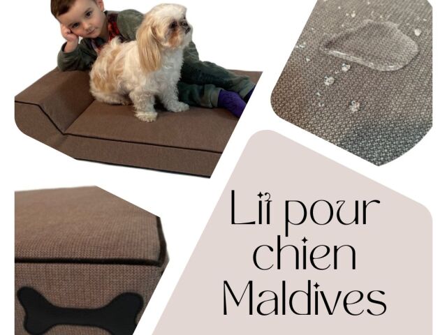 Les lits pour chien : un choix important pour le bien-être de votre animal
